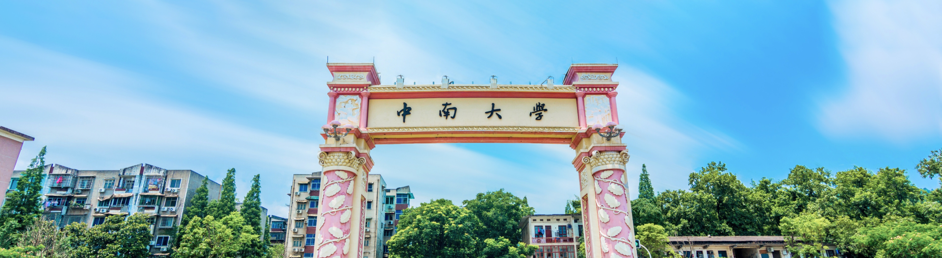 日本无码a片